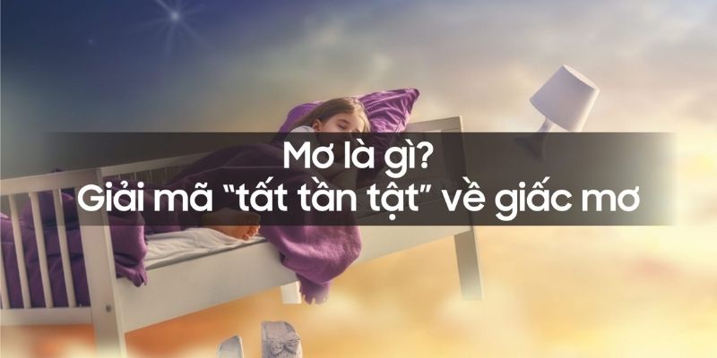 Khám phá thế giới bí ẩn của tịch đề